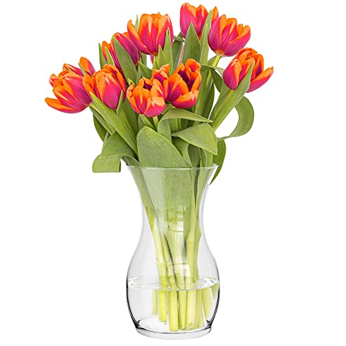 Trend For Home Tulpenvase