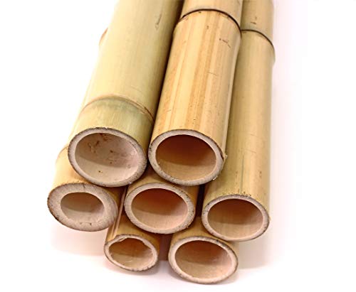 Bambus-Discount.Com Holz Biegen