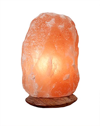 Himalaya Salt Dreams Salzlampe