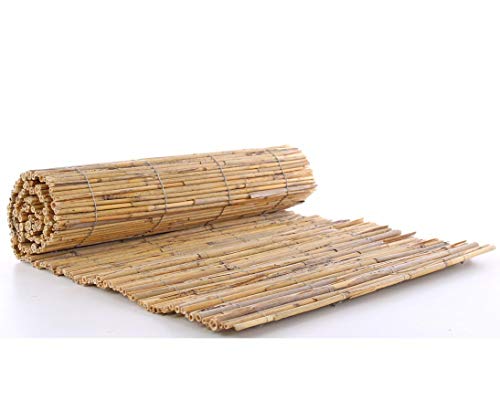 Bambus-Discount.Com Schilfrohrmatte