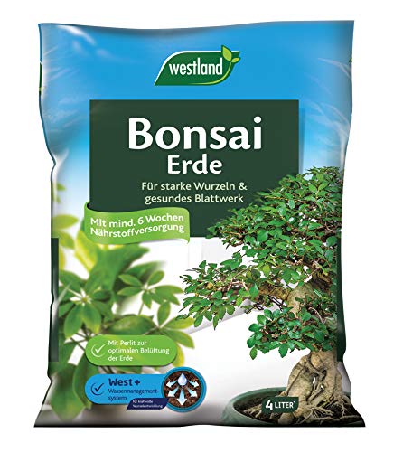 Westland Bonsai Schale