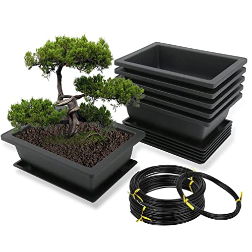 Missfox Bonsai Schale