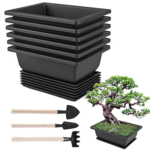 Cresbel Bonsai Schale